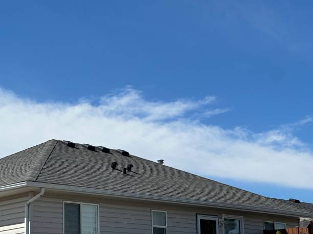 Best Asphalt Shingle Roofing  in Tiptonville, TN